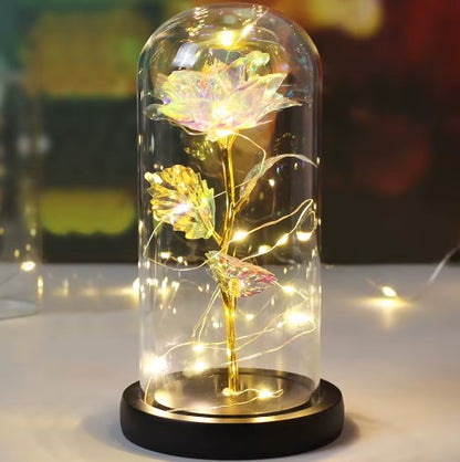 Forever Glow Rose