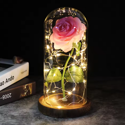Forever Glow Rose