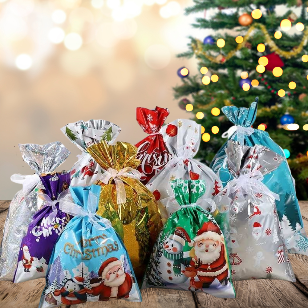 Festive Gift Bag Sets