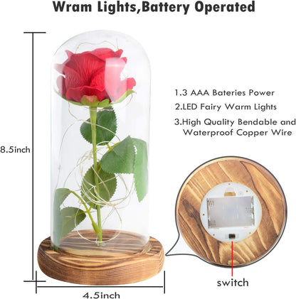 Forever Glow Rose