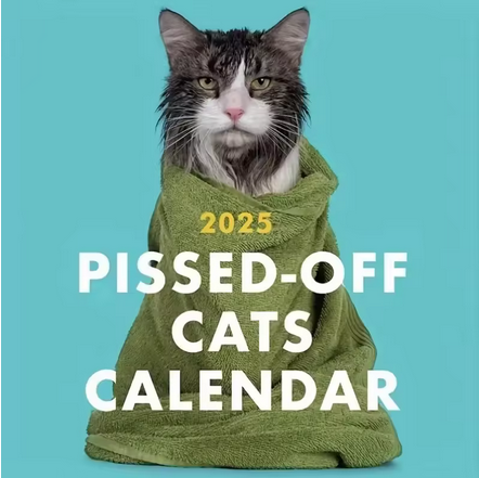 Your Year Ahead – All Calendars 2025