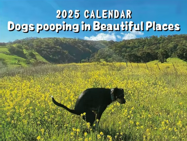 Your Year Ahead – All Calendars 2025