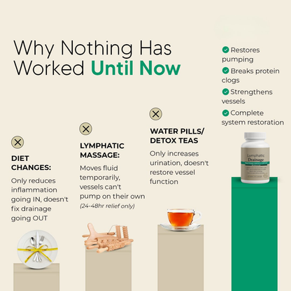 Sculptora™ Lymphatic Support