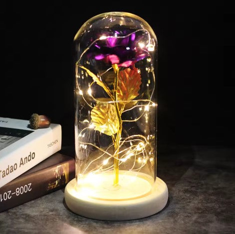 Forever Glow Rose