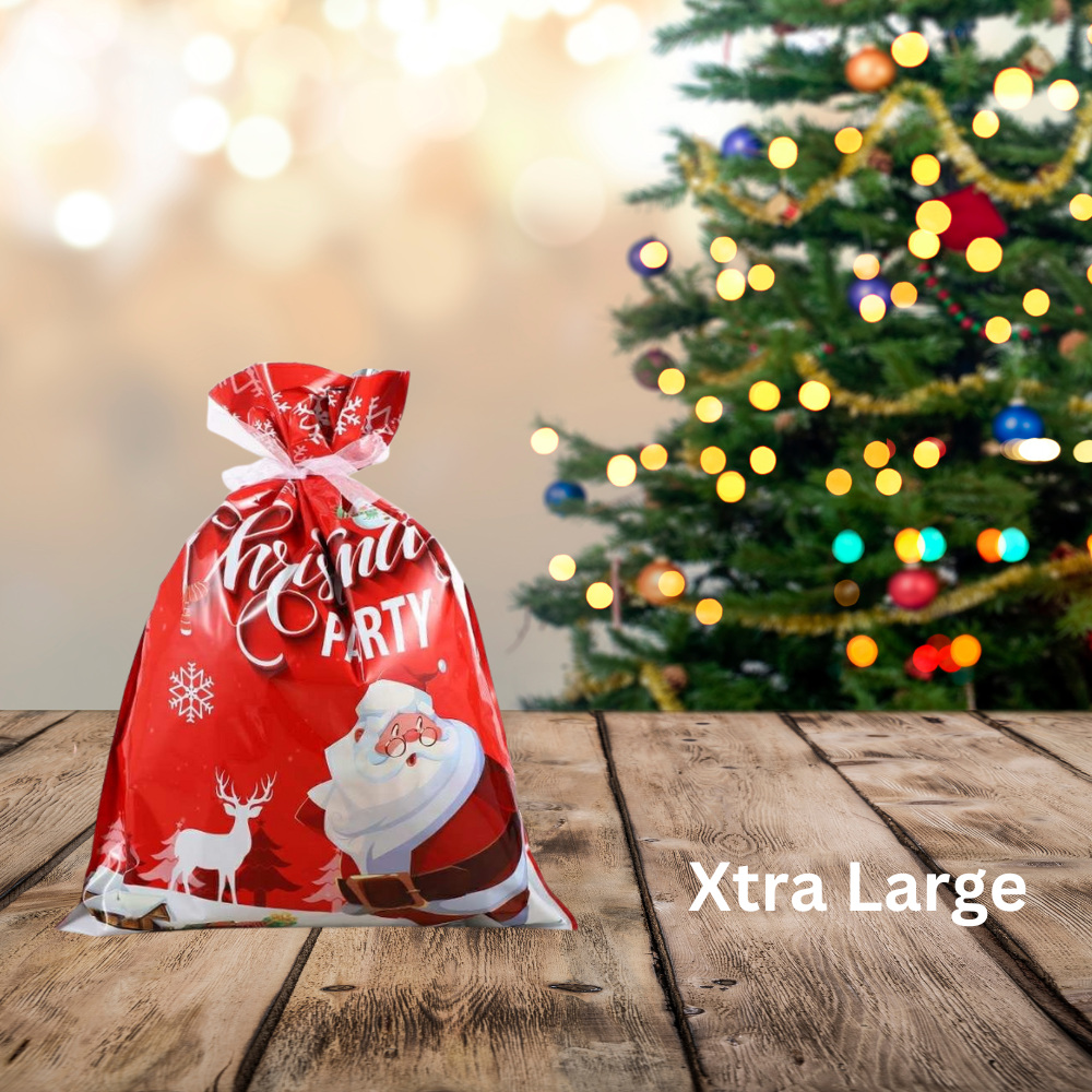 Festive Gift Bag Sets