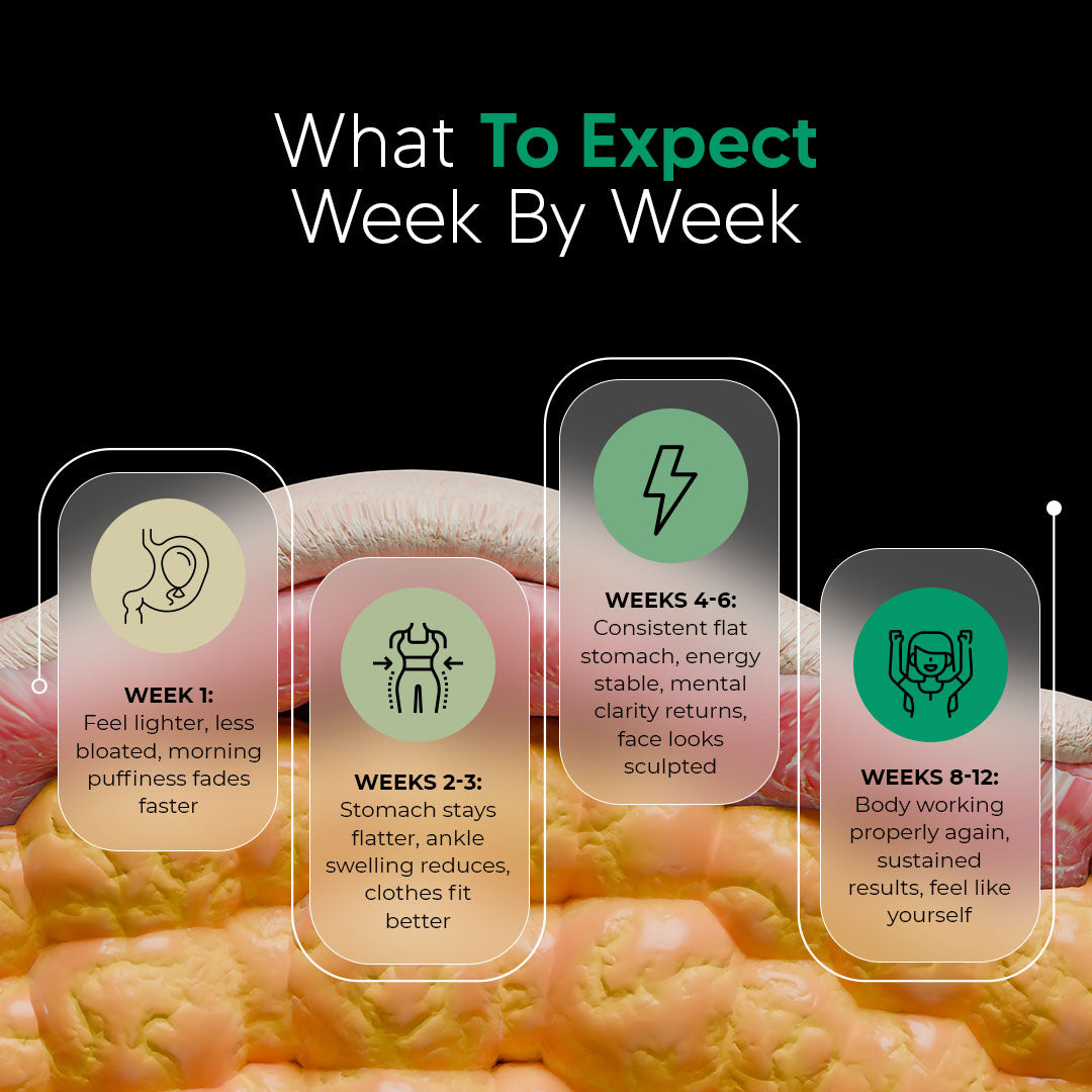 Sculptora™ Lymphatic Support