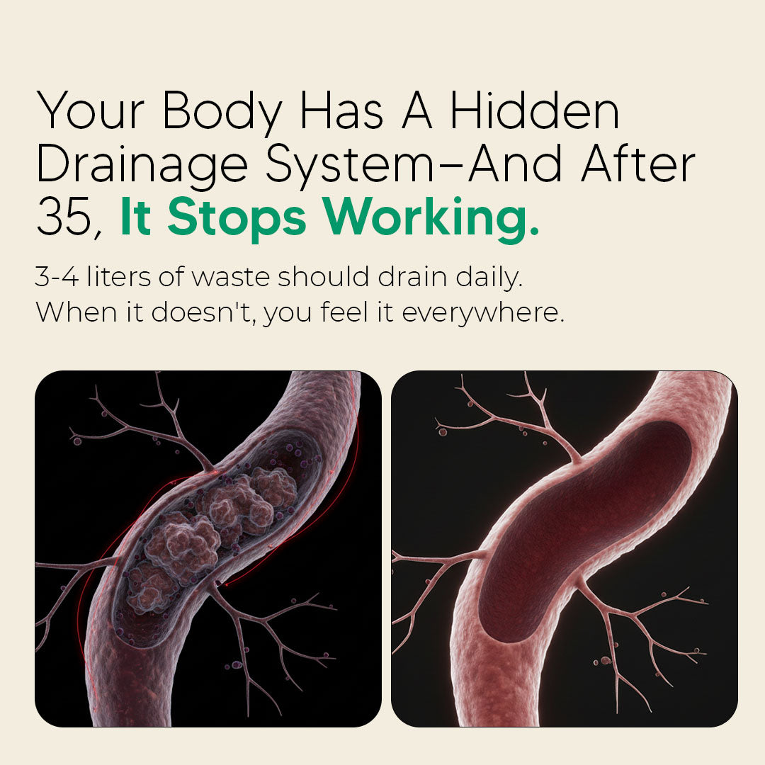 Sculptora™ Lymphatic Support