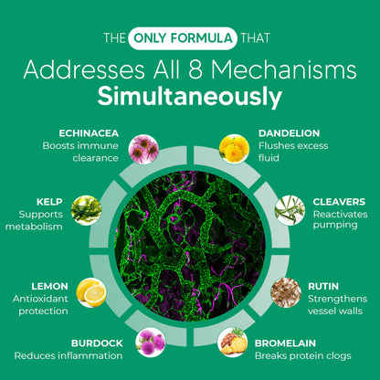 Sculptora™ Lymphatic Support