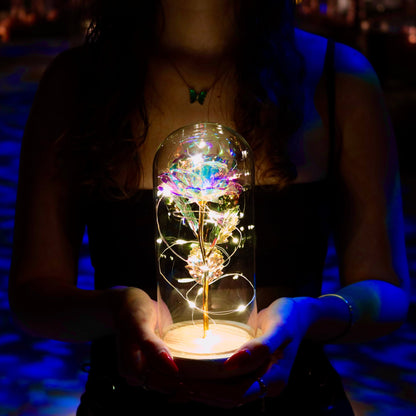 Forever Glow Rose