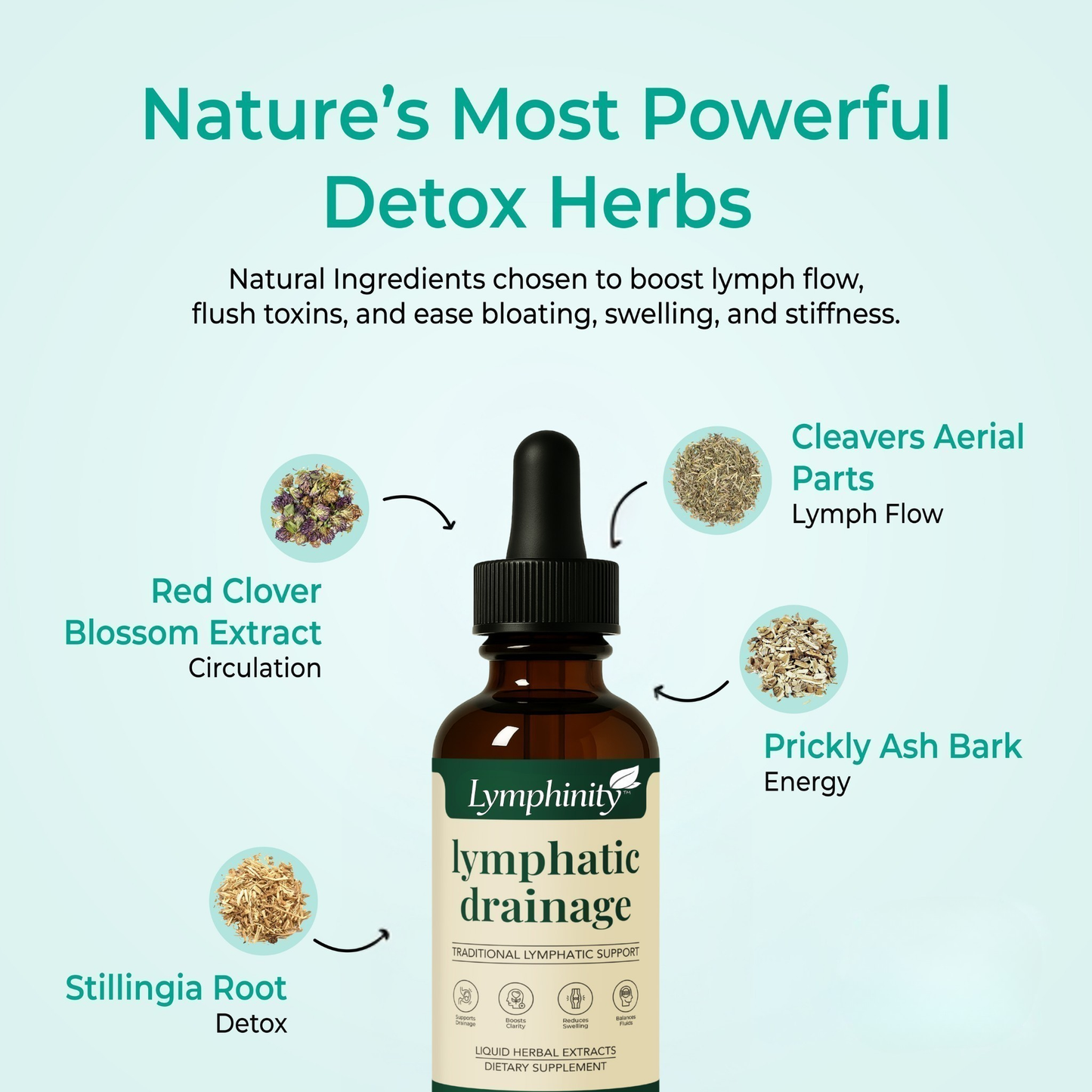 Lymphinity™ Daily Lymphatic Detox Drops