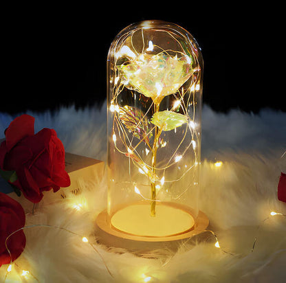 Forever Glow Rose